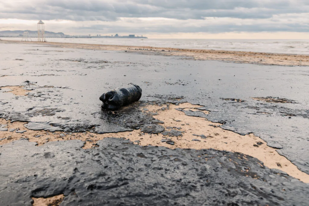 Lupa Ambiental | Vazamento de óleo polui praia arenosa com resíduos plásticos, destacando desastre ambiental e crise de poluição marinha em Anapa.